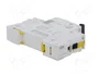 Schneider Automat B 20A 1-polig A9F03120 IC60N