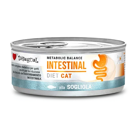 Disugual Diet Cat Intestinal 12x85g Disugual Diet Cat Intestinal 12x85g