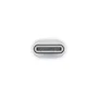 Apple Adaptador USB-C a Lightning Blanco MUQX3ZM/A