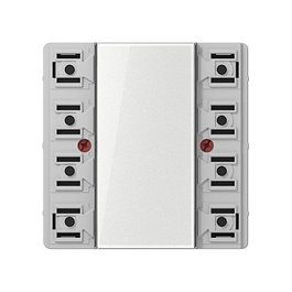 Jung LS5072TSM KNX Tastsensor-Modul Standard 2fach