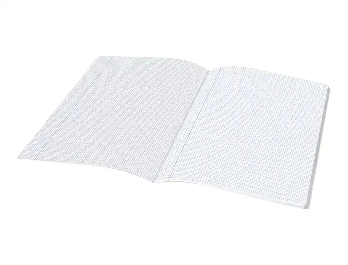 Liderpapel Libreta Scriptus A4 48 Hojas 90gr Cuadro 3mm Con Margen
