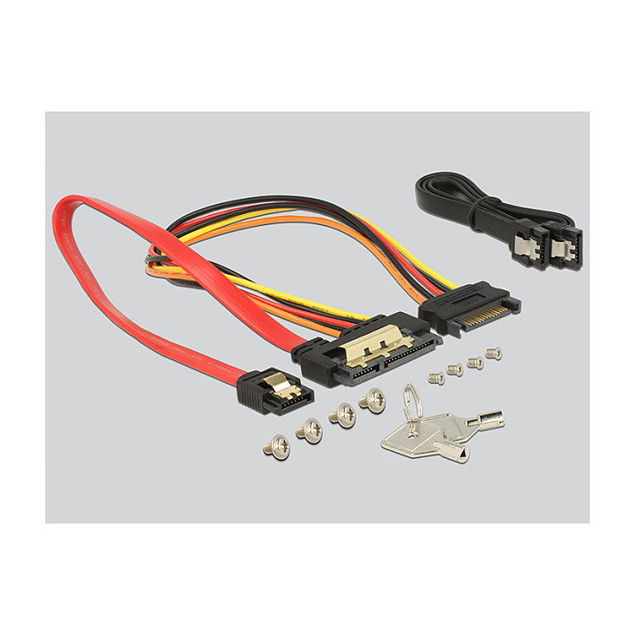 DeLOCK 47228 Bastidor móvil de metal para 1 x 2.5 pulg. SATA/SAS HDD/SSD con protección contra vibraciones