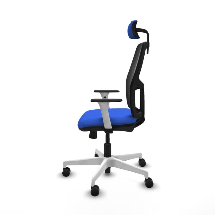 PIQUERAS Y CRESPO Silla Alfera Azul con Brazos ByN y Cabecero 2D