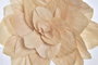 DKD Home Decor Decoración Colgante de Fibra con Diseño de Flor, Surtido de 3 Modelos