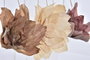 DKD Home Decor Decoración Colgante de Fibra con Diseño de Flor, Surtido de 3 Modelos
