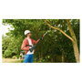 Bosch UniversalChainPole 18 Akku-Hochentaster Solo Sierrade Cadena de Poda a Bateria 18V Long Hoja 15cm, Cadena 20cm, 3.6kg