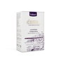 DKD Home Decor Set de 8 (12 Unidades) Incienso Varilla Basicos Lila Lavanda Botanic 2024 5 x 2 x 23.5 cm