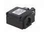 PIZZATO ELETTRICA Interruptor de fin de carrera FX 502 con roldana de plástico Ø14mm