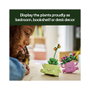 LEGO Botanicals Plantas Bailarinas 11506