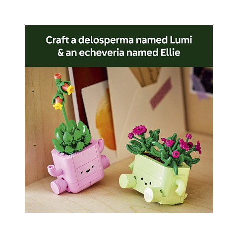 LEGO Botanicals Plantas Bailarinas 11506 LEGO Botanicals Plantas Bailarinas 11506