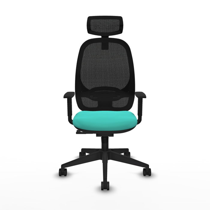 PIQUERAS Y CRESPO Silla de oficina Cilanco con mecanismo Sincro, Turquesa y Negro PIQUERAS Y CRESPO Silla de oficina Cilanco con mecanismo Sincro, Turquesa y Negro