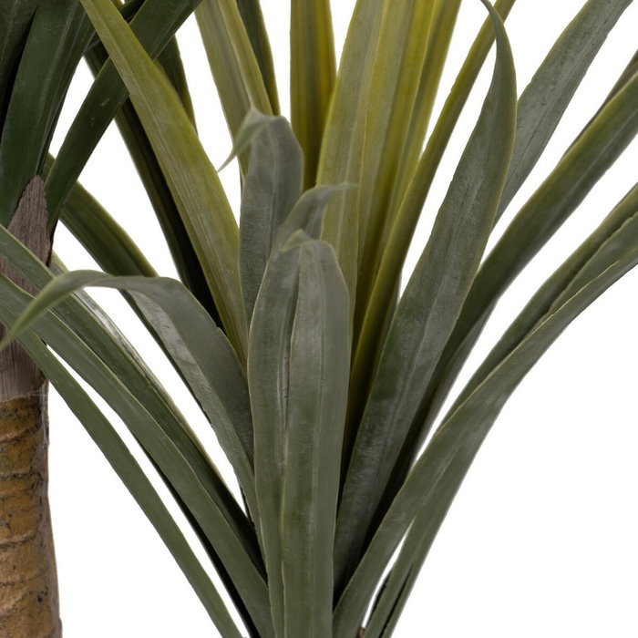 Ixia Planta Dracaena Verde Goma Decoración 110 cm