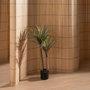 Ixia Planta Dracaena Verde Goma Decoración 110 cm
