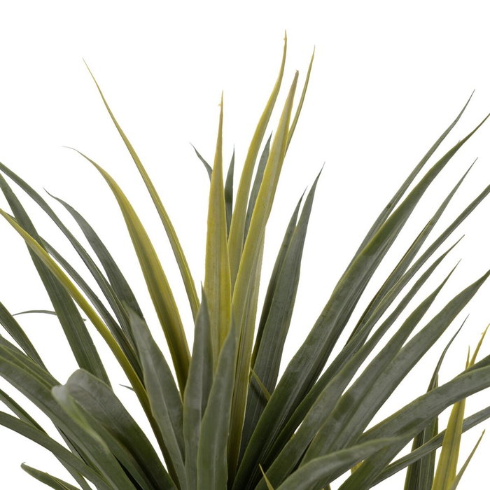 Ixia Planta Dracaena Verde Goma Decoración 110 cm