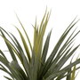Ixia Planta Dracaena Verde Goma Decoración 110 cm