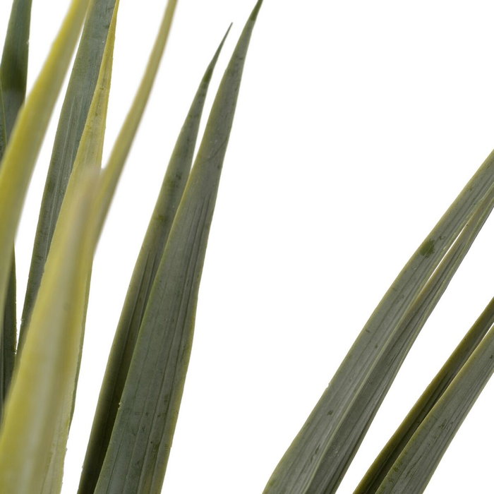 Ixia Planta Dracaena Verde Goma Decoración 110 cm