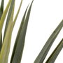 Ixia Planta Dracaena Verde Goma Decoración 110 cm