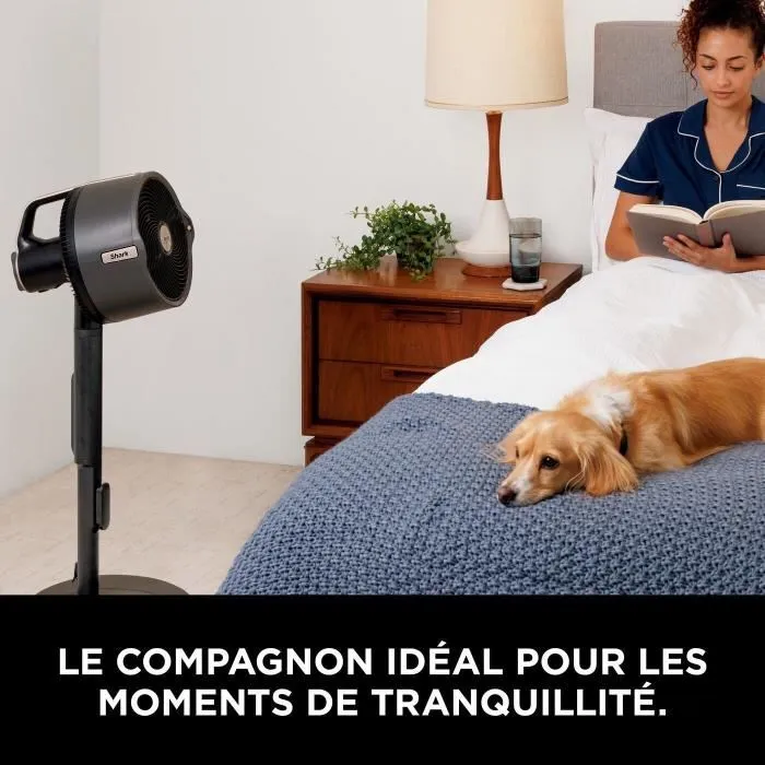 Shark FA300EU Ventilador nebulizador Interior y exterior FlexBreeze ProMist