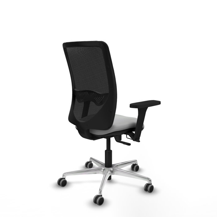 PIQUERAS Y CRESPO Silla de oficina Zulema con mecanismo Sincro/Traslack, Gris claro y Negro PIQUERAS Y CRESPO Silla de oficina Zulema con mecanismo Sincro/Traslack, Gris claro y Negro