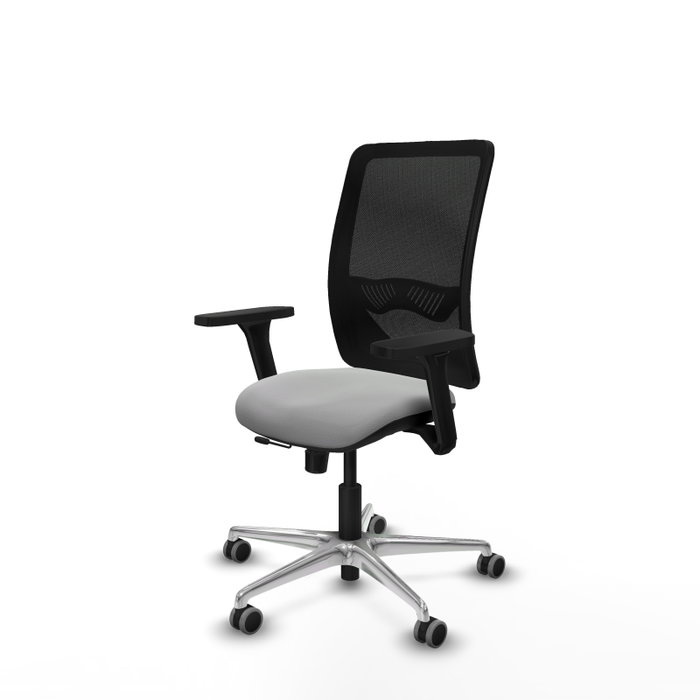 PIQUERAS Y CRESPO Silla de oficina Zulema con mecanismo Sincro/Traslack, Gris claro y Negro PIQUERAS Y CRESPO Silla de oficina Zulema con mecanismo Sincro/Traslack, Gris claro y Negro