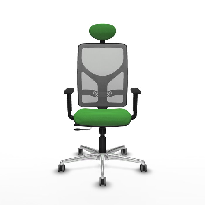 PIQUERAS Y CRESPO Silla de oficina Motilla con mecanismo Sincro/Traslack Verde y Gris PIQUERAS Y CRESPO Silla de oficina Motilla con mecanismo Sincro/Traslack Verde y Gris