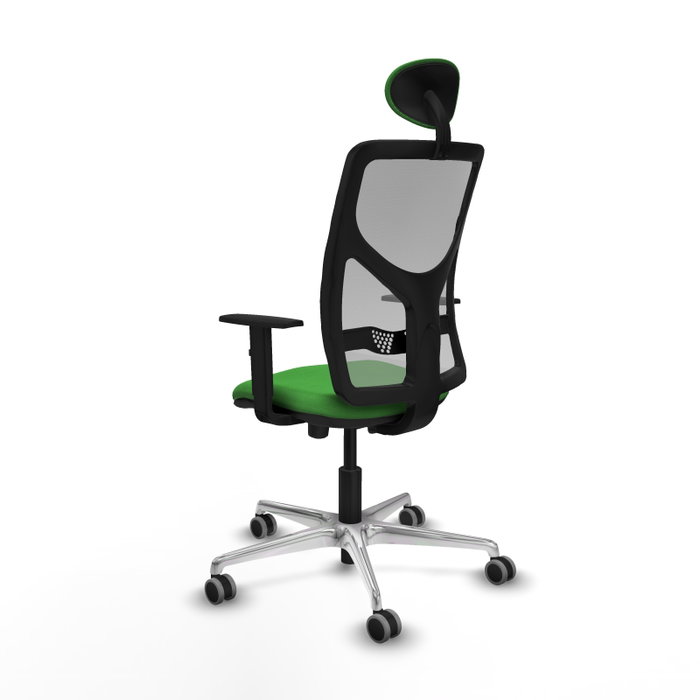 PIQUERAS Y CRESPO Silla de oficina Motilla con mecanismo Sincro/Traslack Verde y Gris PIQUERAS Y CRESPO Silla de oficina Motilla con mecanismo Sincro/Traslack Verde y Gris