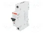 ABB S201M-C16 Interruptor magnetotérmico 16A 1P 10kA