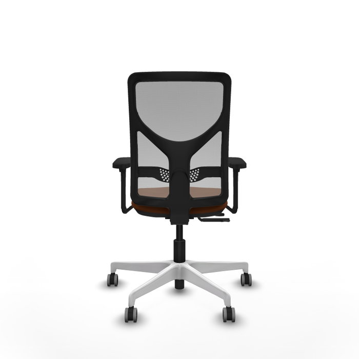 PIQUERAS Y CRESPO Silla de oficina Motilla con mecanismo Sincro/Traslack, Marrón y Gris PIQUERAS Y CRESPO Silla de oficina Motilla con mecanismo Sincro/Traslack, Marrón y Gris