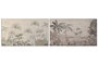 DKD Home Decor Cuadro de Algodón y Abeto Palmeras (Surtido de 2 unidades) 120x70 cm