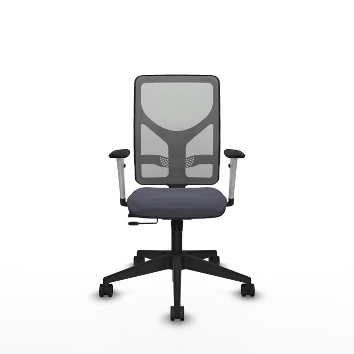 PIQUERAS Y CRESPO Silla de oficina Motilla con mecanismo Sincro/Traslack Gris PIQUERAS Y CRESPO Silla de oficina Motilla con mecanismo Sincro/Traslack Gris