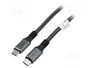 Digitus Cable de Conexión USB4.0 USB-C a USB-C 40Gbit/s 1m Negro