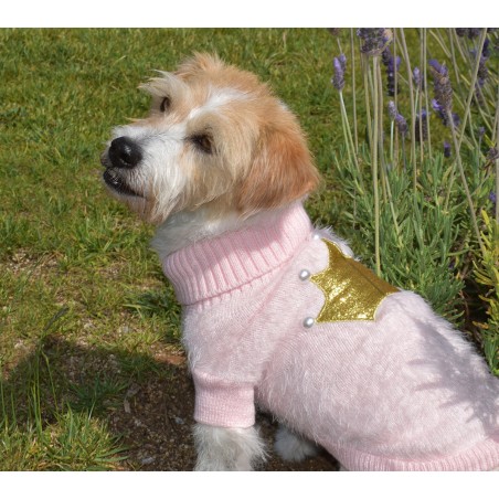 Nayeco Jersey Queen para Perro de Punto con Corona Dorada Purpurina y Perlas Ojal Correa Elástico Cola 25 cm