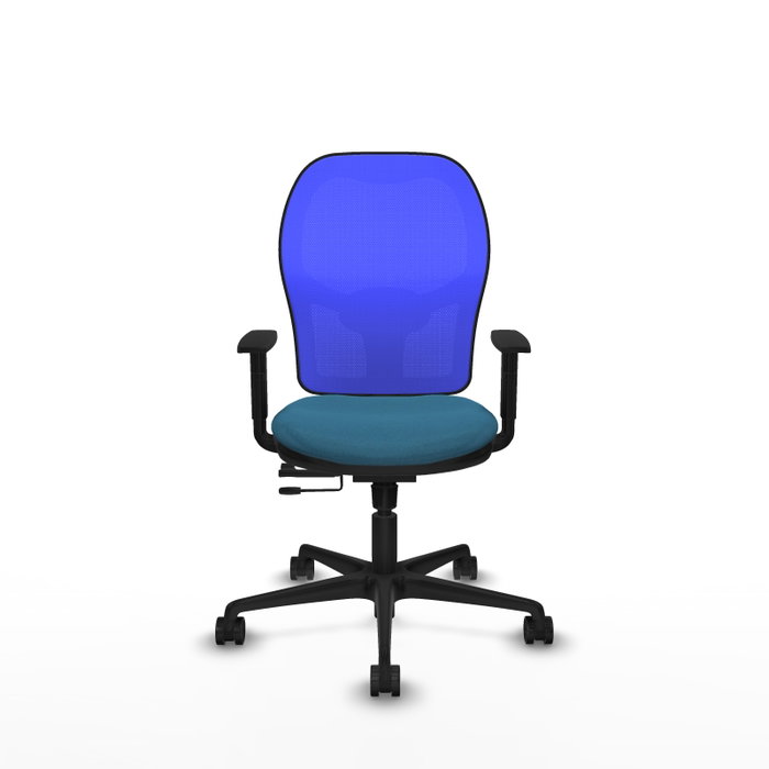 PIQUERAS Y CRESPO Silla de oficina Jorquera con mecanismo Sincro/Traslack, Verde petróleo y Azul PIQUERAS Y CRESPO Silla de oficina Jorquera con mecanismo Sincro/Traslack, Verde petróleo y Azul