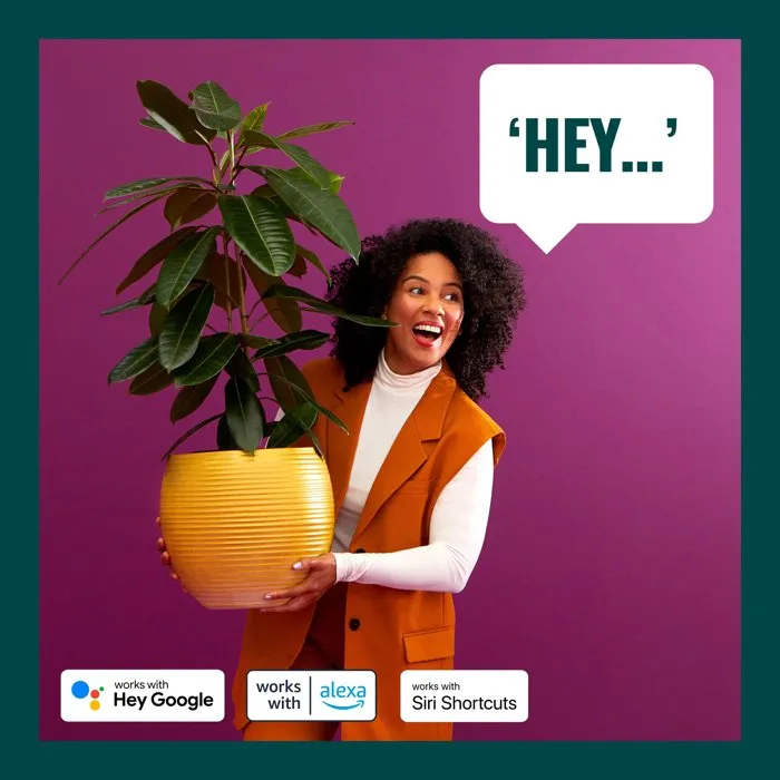 Wiz WIZ8719514554450 Guirnalda 15m para Exterior Conectada