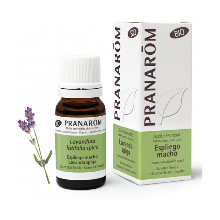 Pranarom Aceite Esencial de Espliego Macho Bio 10ml Pranarom Aceite Esencial de Espliego Macho Bio 10ml