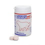 Bioiberica Condrovet Force HA Razas Grandes 80 Comprimidos