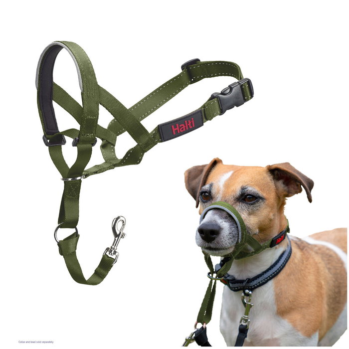 Bozal Company of Animals FOREST Verde 3 Bozal Company of Animals FOREST Verde 3