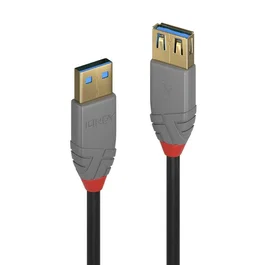Lindy Cable de Extensión USB 3.2 Gen 1 Tipo A a Tipo A, 1 m