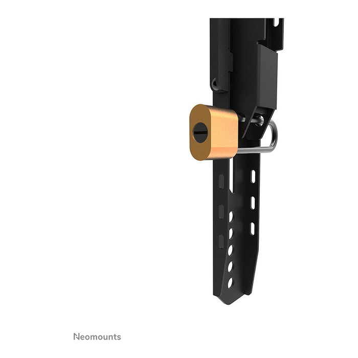 Neomounts WL30-750BL14 Soporte de pared fijo para pantallas 42-75 pulgadas Neomounts WL30-750BL14 Soporte de pared fijo para pantallas 42-75 pulgadas