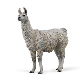 Collecta Llama M 88991 Réplica Animal Salvaje Pintada a Mano +3 Años