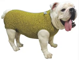 Petmed Body Regular Post-Quirurgico Bulldog Ingles Talla M