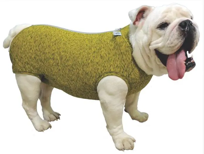 Petmed Body Regular Post-Quirurgico Bulldog Ingles Talla M Petmed Body Regular Post-Quirurgico Bulldog Ingles Talla M