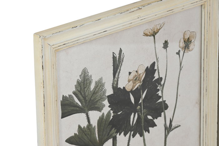 Cuadro Home ESPRIT Shabby Chic Plantas botánicas 40 x 1,5 x 50 cm (6 Unidades)