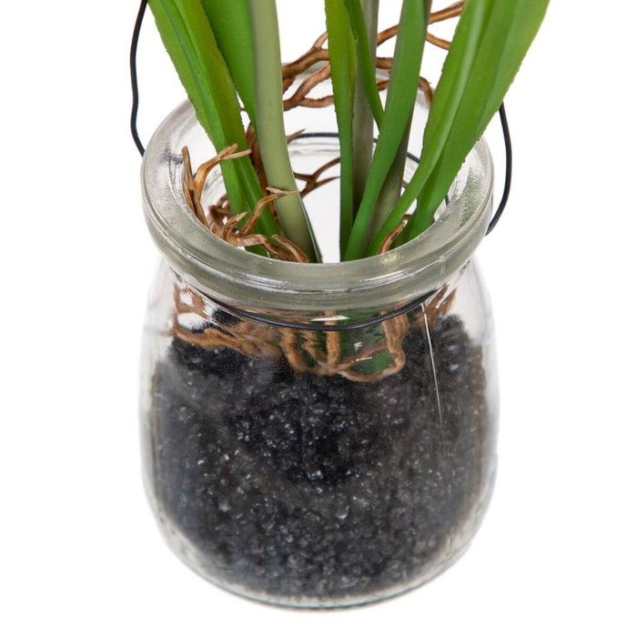 Ixia Planta Jacinto Blanco Artificial 5,50 x 5,50 x 21 cm