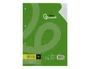 Liderpapel Recambio A4 100 Hojas Milimetrado 2mm 4 Taladros