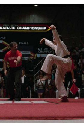 Karate Kid & Cobra Kai. Dar Cera, Pulir Cera