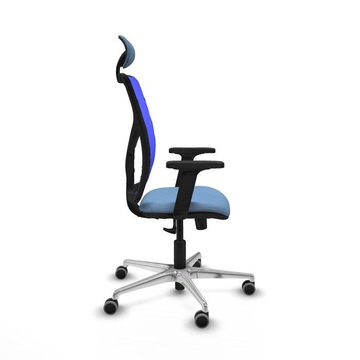 PIQUERAS Y CRESPO Silla de oficina Motilla con mecanismo Sincro, Azul cielo y Azul PIQUERAS Y CRESPO Silla de oficina Motilla con mecanismo Sincro, Azul cielo y Azul