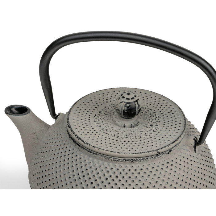 Bredemeijer Tetera Jang de hierro fundido gris con filtro, 0,8l