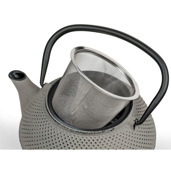 Bredemeijer Tetera Jang de hierro fundido gris con filtro, 0,8l