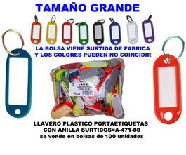 Llavero Plástico Portaetiquetas Grande 38x60 mm con Anilla